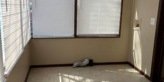 Bungalow Near MSU Gallery 16