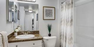 Laurel Valley Gallery 14