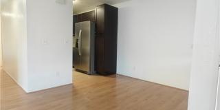 22852 Hilton Head Drive Gallery 2