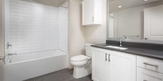 The Seaton Gallery 28