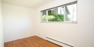 Angeline Gallery 41