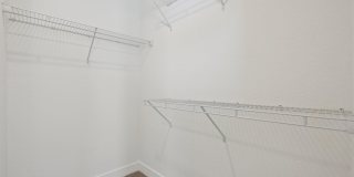 Avanterra Black Forest Gallery 102
