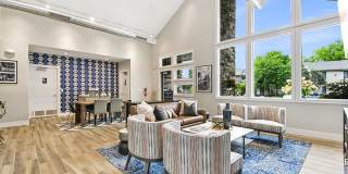 Cedaridge Gallery 19