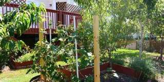 712 Callay Hill Way Gallery 13