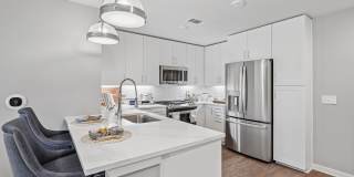 Society at Laurens Gallery 22