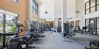 Brea Wendell Falls Gallery 15