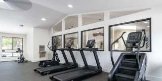 Citrus Place Gallery 35