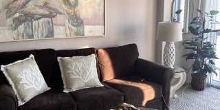 255 Dolphin Point Gallery 15