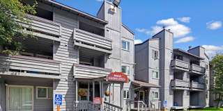 Russian Jack Gallery 15