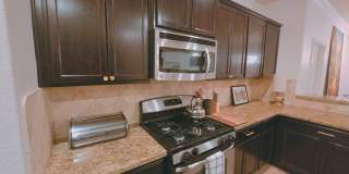 7309 Raphael Gallery 17