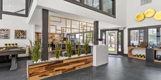 Raindance Gallery 11