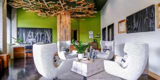 Elan Redmond Gallery 2