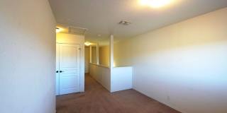 3907 Paradiso Loop Gallery 22