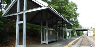 18 Needham St Gallery 13