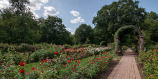 Sheffield Court Gallery 49