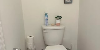 Room in 3 Bedroom Home in Raleigh Gallery 5
