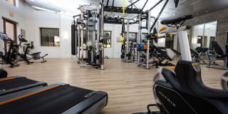 Triana Triana Gallery 31