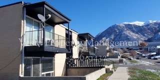 1030 Healy Street - 1030 Gallery 1