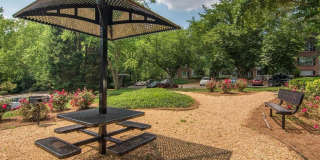 River Vista Gallery 13