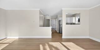 13 Sligo Street - 2 Gallery 5