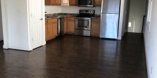 206 Stribling Avenue - B Gallery 4