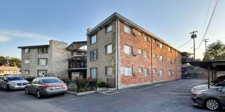 Dolphin Apartments Gallery 39