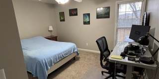 1136 HALLWOOD Lane Gallery 10