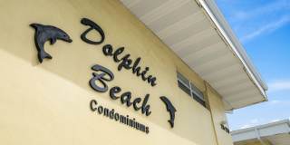 Dolphin Beach Gallery 1