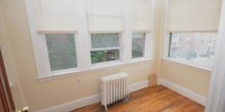 244 Kelton St Gallery 4