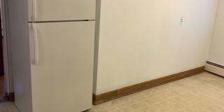 Nandale - Yellow Gallery 11