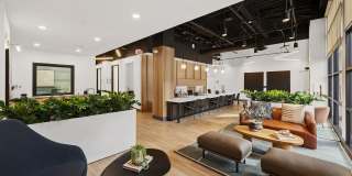 Terraces at Paseo Colorado Gallery 27