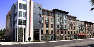 Elements Apartments Gallery 31