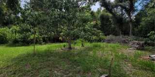 8320 WOODLAKE PLACE Gallery 48