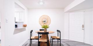 Lyv Austin Gallery 27