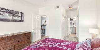 GORGEOUS FULLY-FURNISHED in Grayhawk 2/2 Bed/Bath Gallery 13