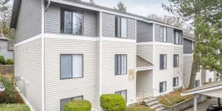 Oswego Cove Gallery 8