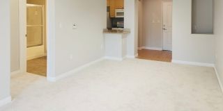 2463 Watermarke Place Gallery 4