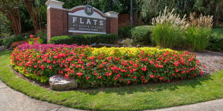 The Flats at North Springs Gallery 9