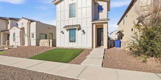 4512 Mark Avizo Gallery 43