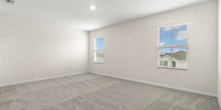 31470 Penny Surf Loop Gallery 13