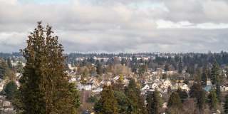 Cypress Greenwood Gallery 23