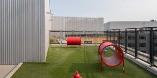 Insignia On M Gallery 13