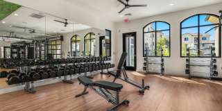 Solara Vista Gallery 36