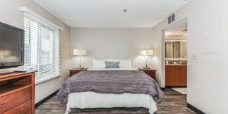 Vivo Living Charlotte Gallery 7