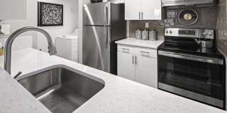 The Asher Gallery 12