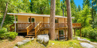 Rustic Modern 3 Bedroom Sanctuary with Designer Kitchen and Expansive Deck Gallery 1