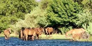 22433 E CATTLE Drive Gallery 58