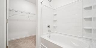 Colina Hillside Gallery 113