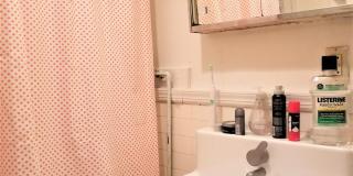 Fabulous Fenway 2-bed with Heat/Hot Water Included Gallery 9