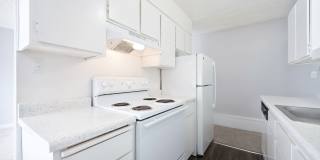 The Canopy Gallery 7